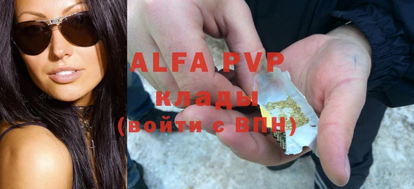PSILOCYBIN Белокуриха