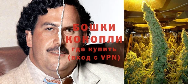 PSILOCYBIN Белокуриха