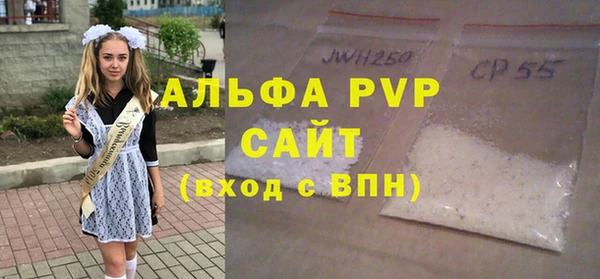 PSILOCYBIN Белокуриха