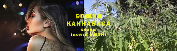 PSILOCYBIN Белокуриха